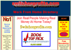Switchonprofits Work From Home Directory