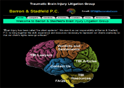 Preparation and Trial of the Traumatic Brain Injury Case