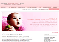 Northeast Assisted Fertility Group