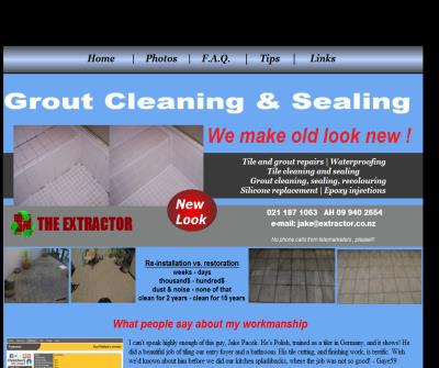 Grout restoration services