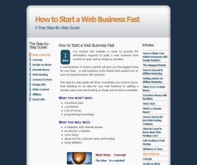 How to Start a Web Business Fast - A Step-By-Step Guide