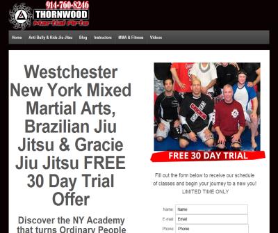 Thai Boxing Training Classes at New York