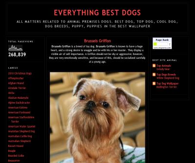 Everything Best Dogs