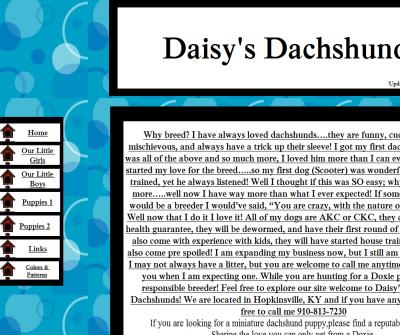 Daisy's Dachshunds