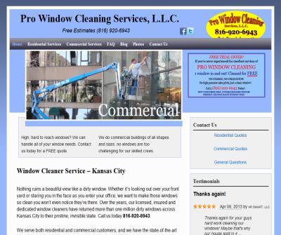 Pro Window Cleaning