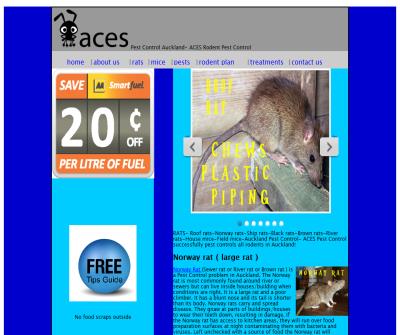 Rat Control Auckland - ACES Rodent Pest Control