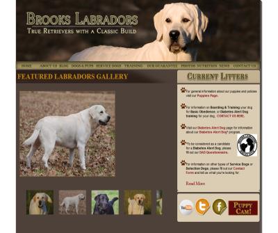 Labrador Breeders & Retrievers in Dallas, Texas | Brooks Labradors |