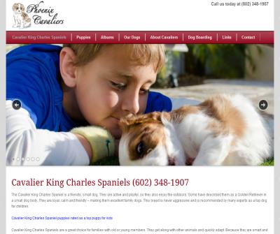 Cavalier King Charles Spaniels in Arizona California Texas Nevada