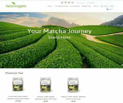 Teaologists Matcha Green Tea