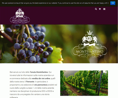 Tenuta Montefantino is an italian wine production services