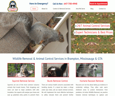 Action Wildlife Removal Professional Wildlife and Animal Removal Services Mississauga & Brampton.
