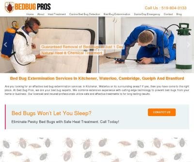 Bed Bug Extermination Services In Kitchener & Waterloo