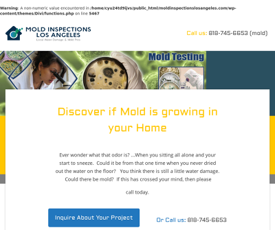Mold Inspections and mold testing company in Los Angeles 