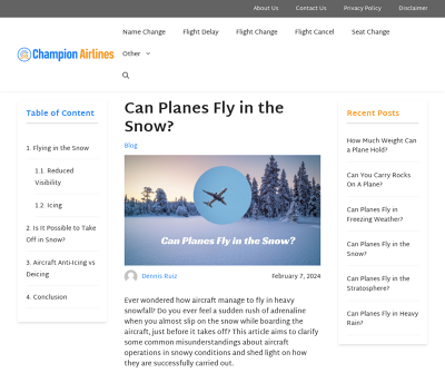 Can Planes Fly in the Snow?