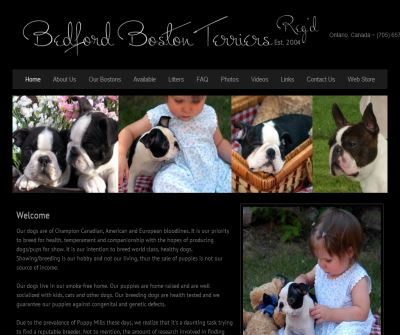 Breeders of Quality Boston Terriers & English Bulldogs
