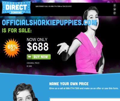 Official Shorkie puppies