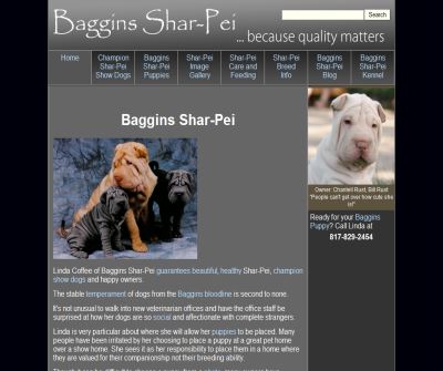 Baggins Shar-Pei