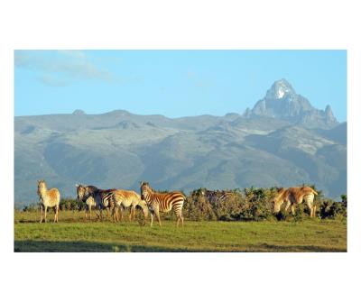 Kenya Safaris & Vacation Packages