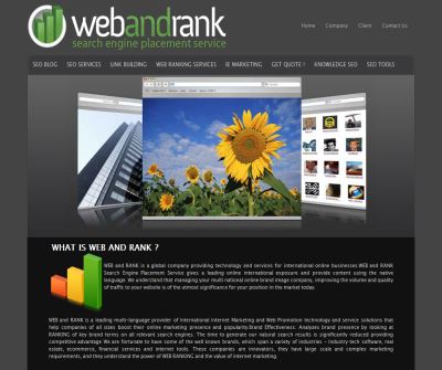 SEO service webandrank