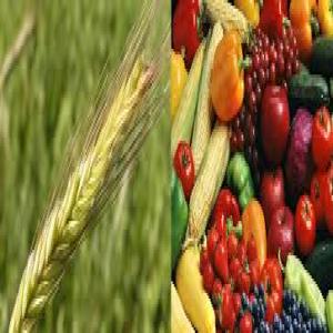 Agriculture, Food & Beverages Market Report