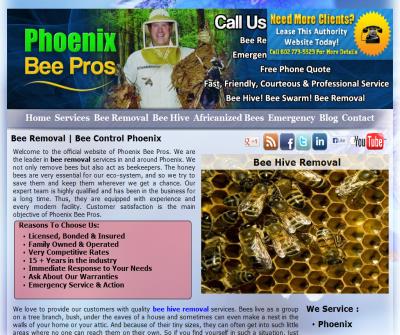 Phoenix Bee Removal Pros