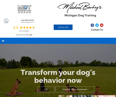 Michigan Dog Training