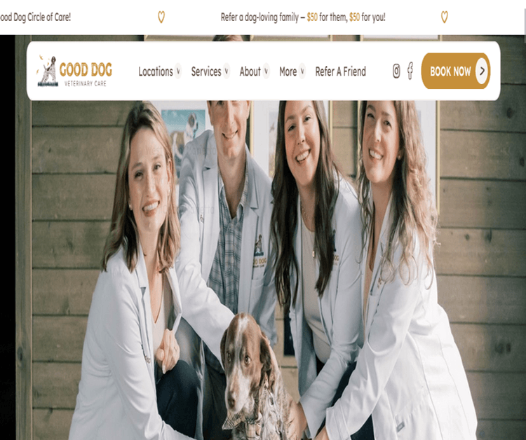 Good Dog Veterinary Care