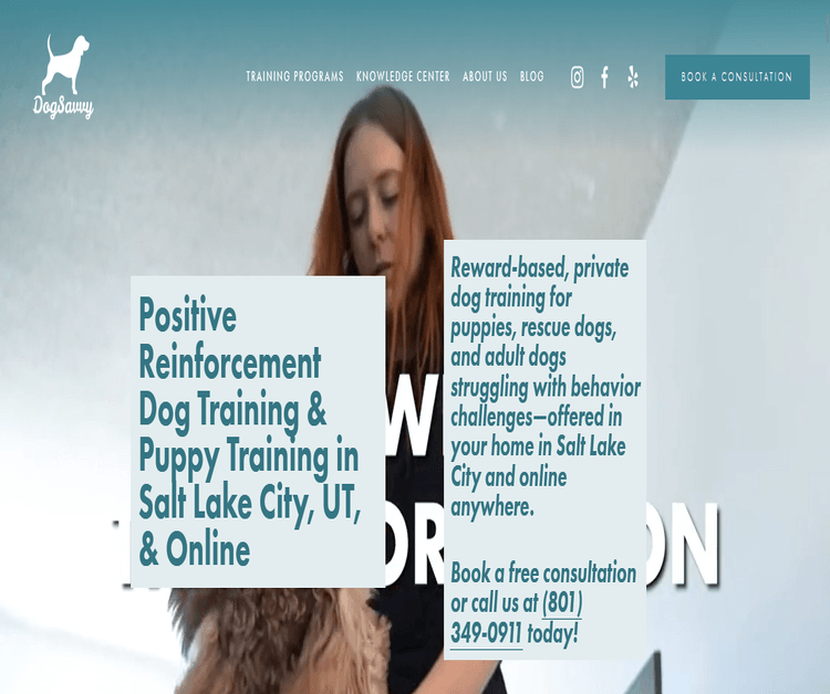 Dog Savvy | Positive Dog Training