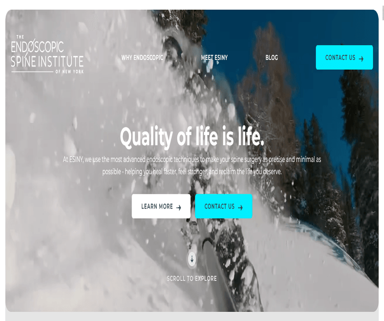 The Endoscopic Spine Institute of New York