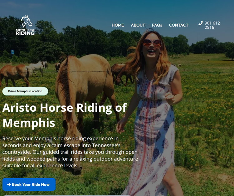 Memphis Horse Riding Experiences