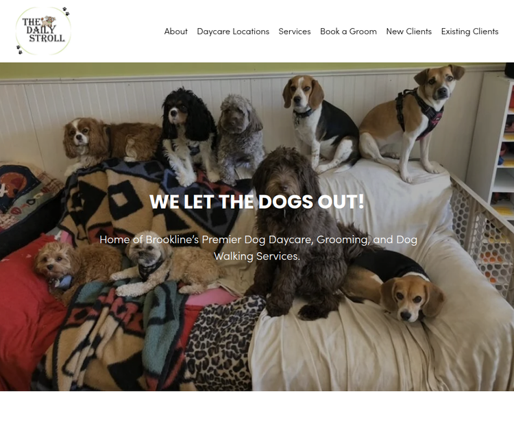 Brookline’s Premier Dog Daycare, Grooming, and Dog Walking Services