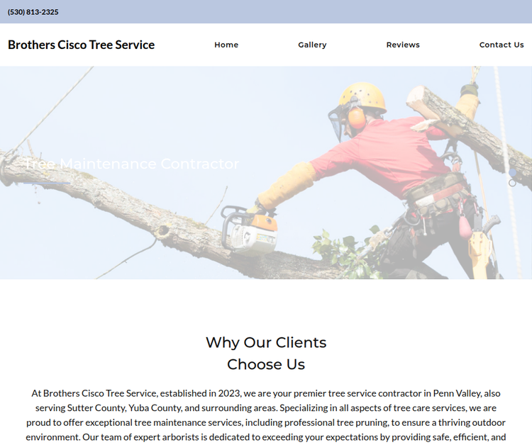 Brothers Cisco Tree Service