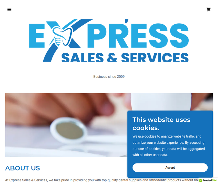 EXPRESS SALES & SERVICES