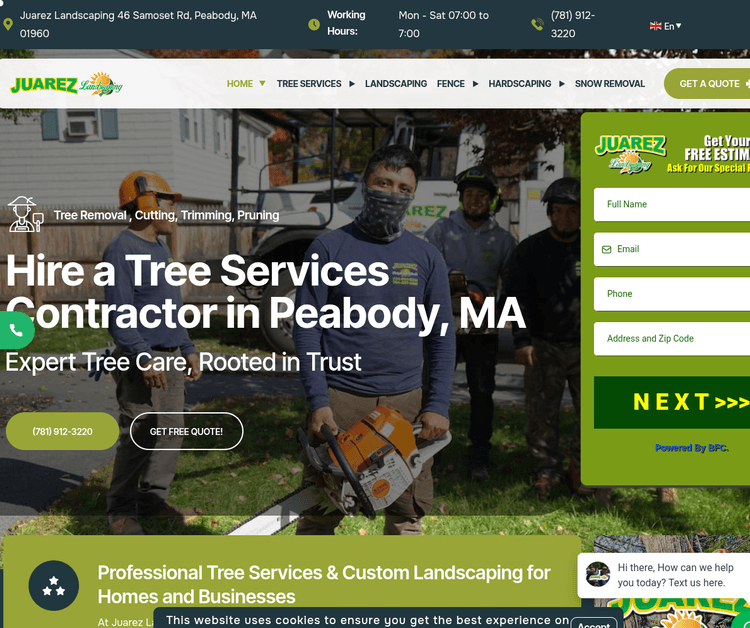 Expert Tree Care & Custom Landscaping Solutions