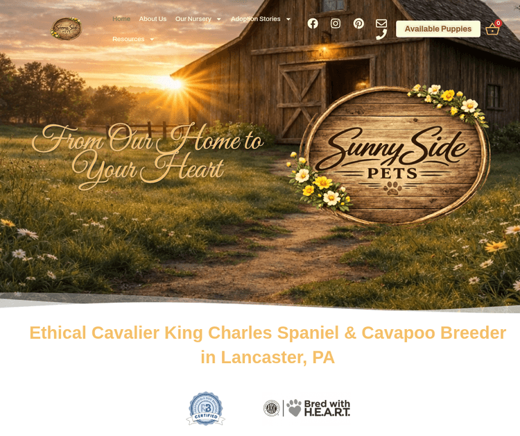 Featured blog image