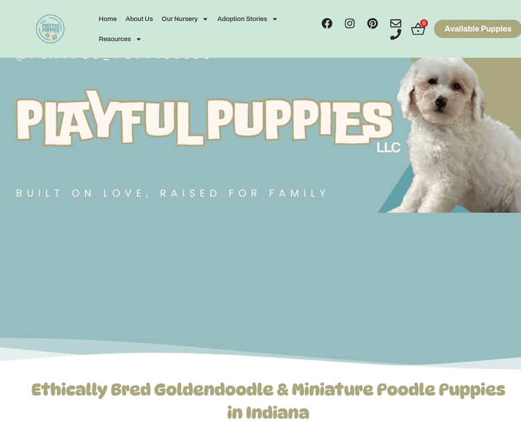 Playful Puppies LLC
