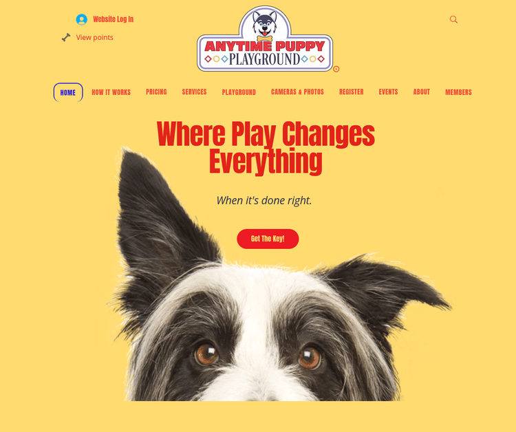 Anytime Puppy Playground
