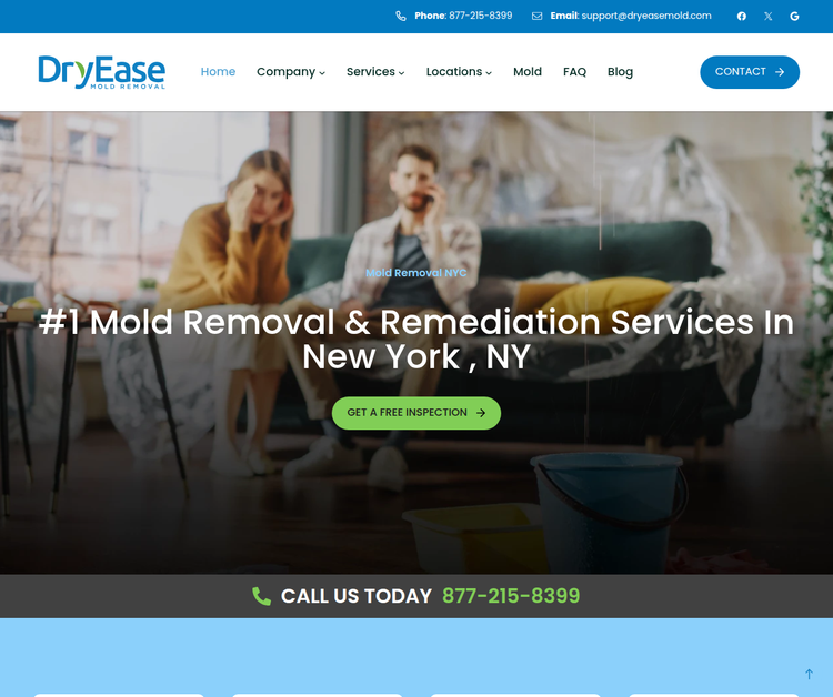 Trusted Mold Remediation Experts in NYC