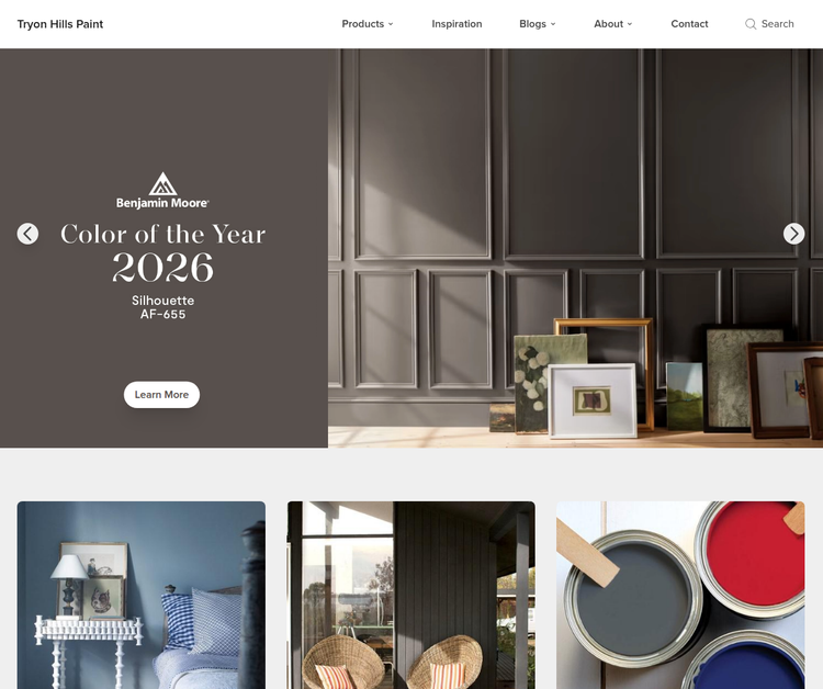 Premium Paint Solutions for Every Project