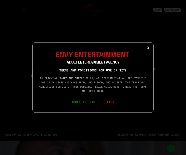 Envy Entertainment