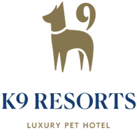 Luxury Dog Boarding and Daycare in Brookfield, WI