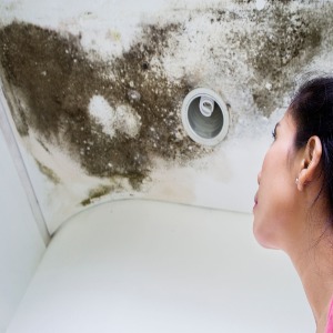 Mould removal Toronto