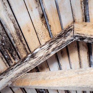 Attic Sheathing Remediations