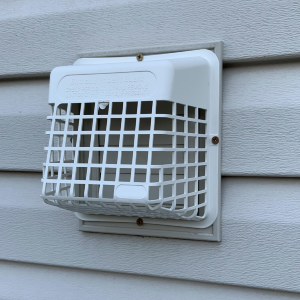 Bird Guard Installation in Brooklyn