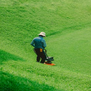 Lawn Care
