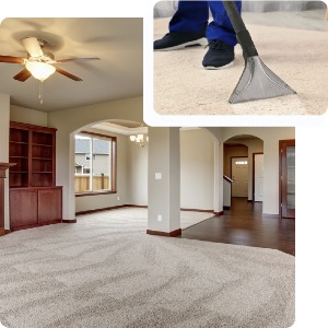 Hire Experts to Handle Your Carpet Cleaning in Adelaide